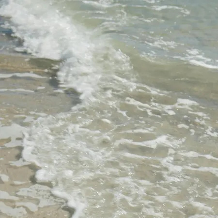 2 Sea C 100