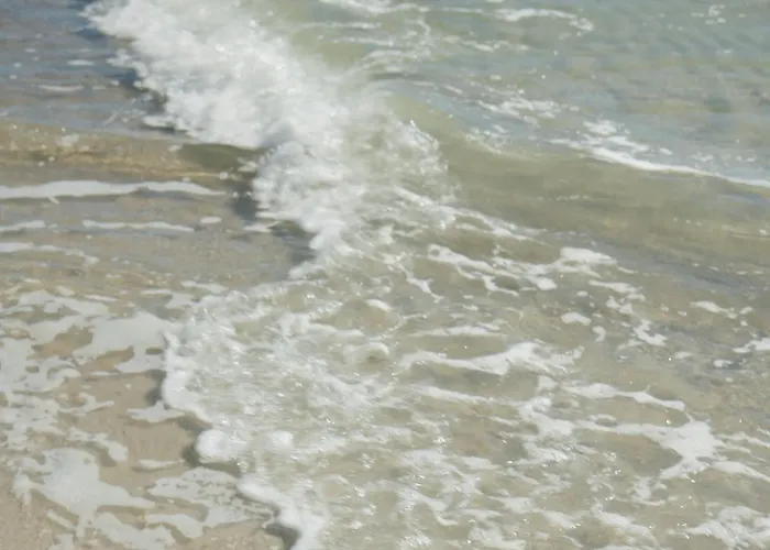 2 Sea C 100